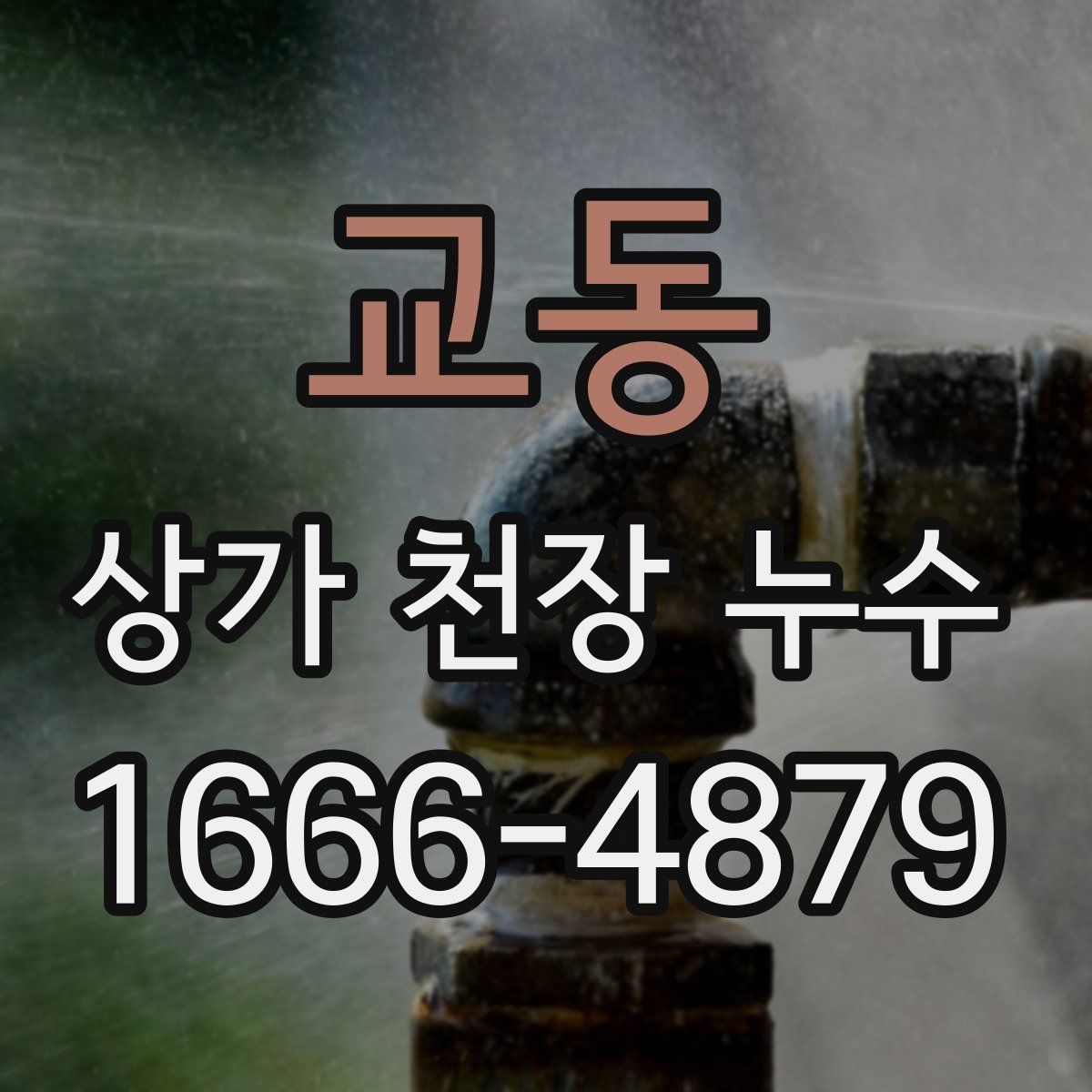 교동 상가 천장 누수