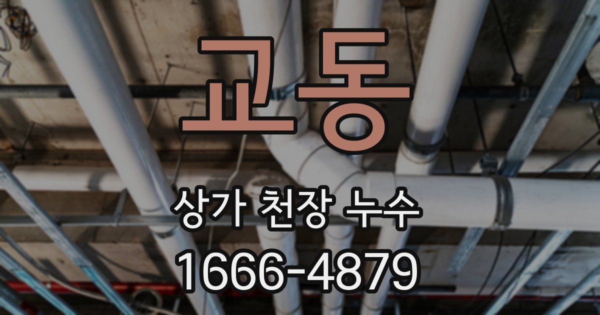 교동 상가 천장 누수