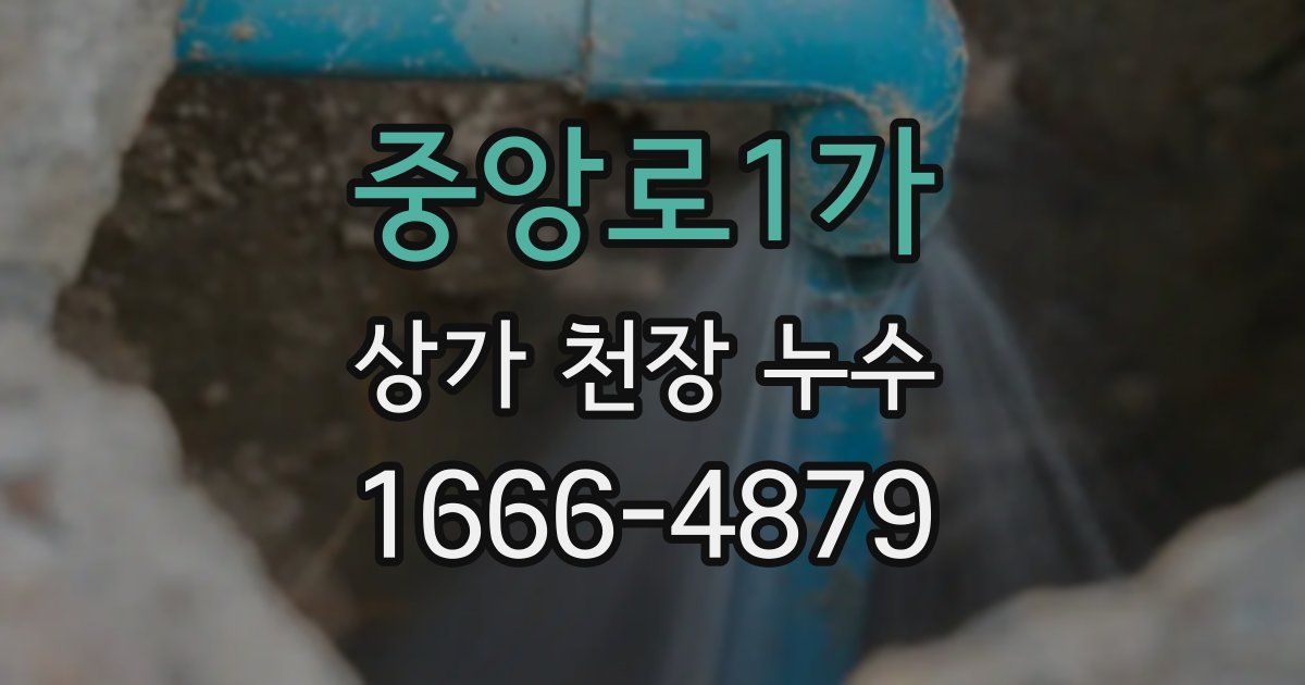 중앙로1가 상가 천장 누수