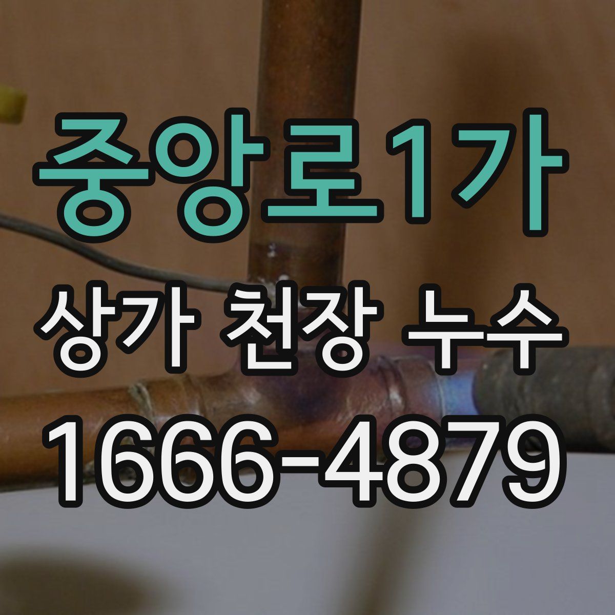 중앙로1가 상가 천장 누수