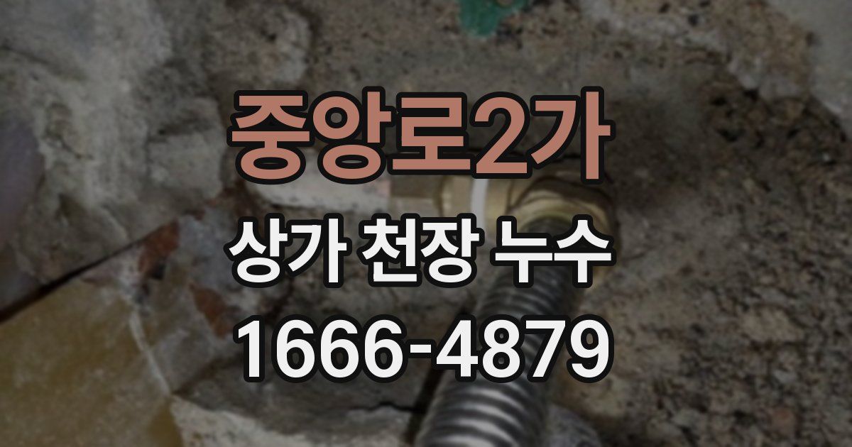 중앙로2가 상가 천장 누수