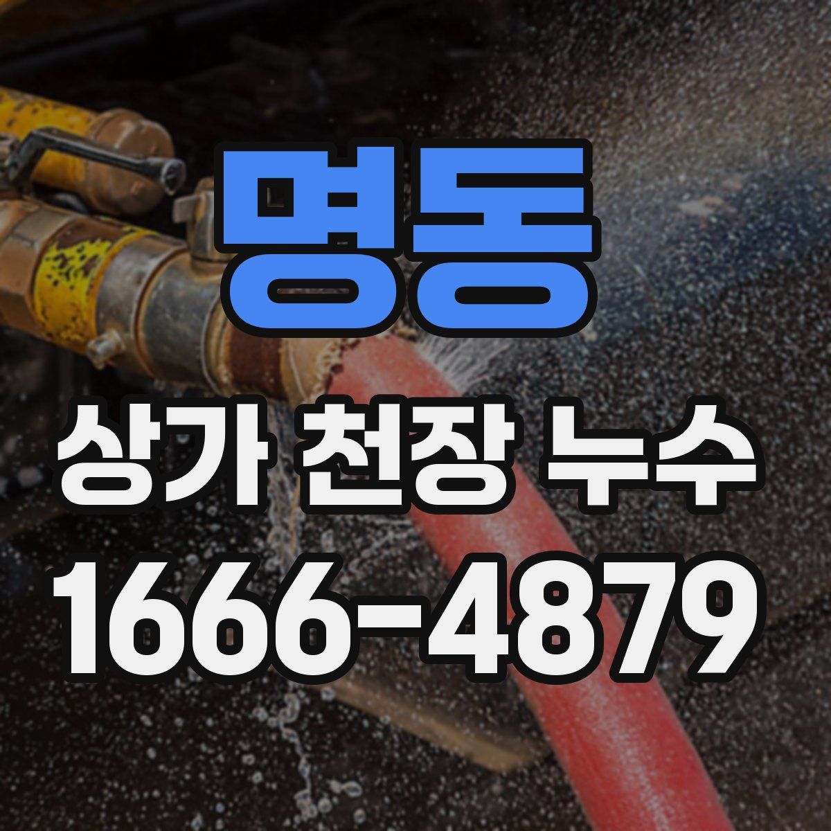 명동 상가 천장 누수