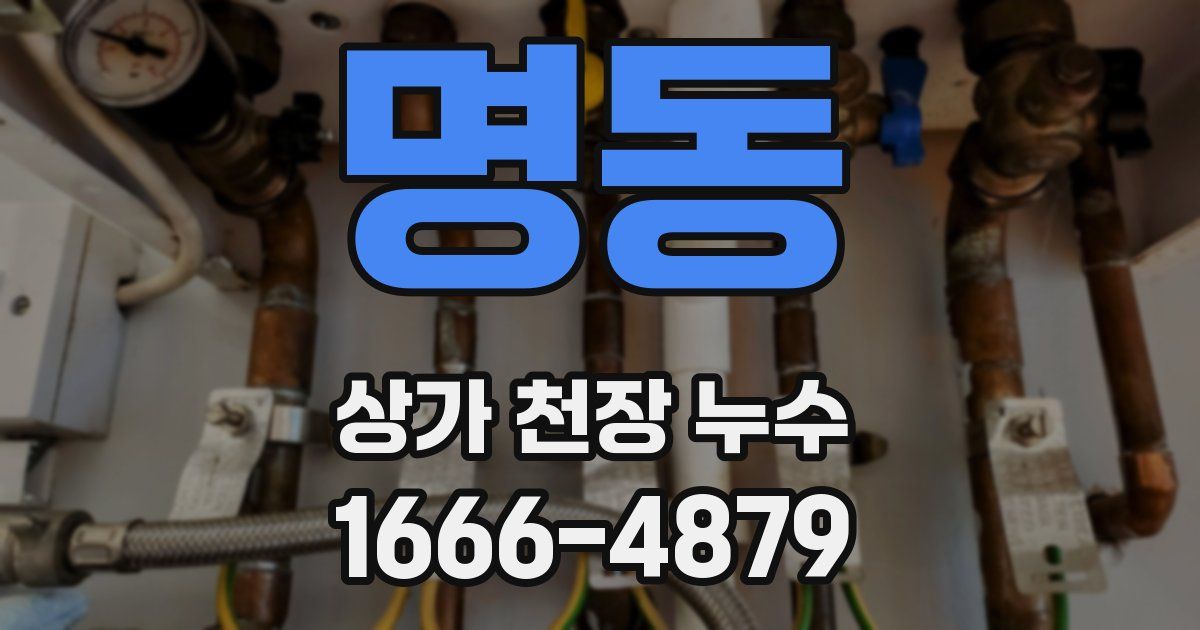 명동 상가 천장 누수