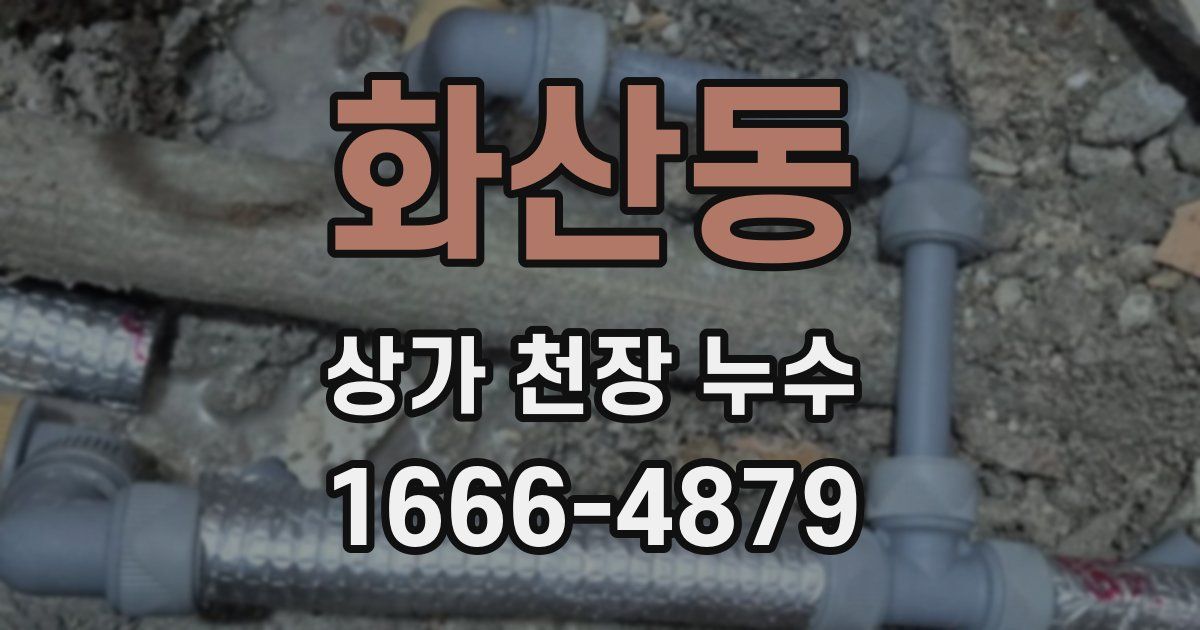 화산동 상가 천장 누수