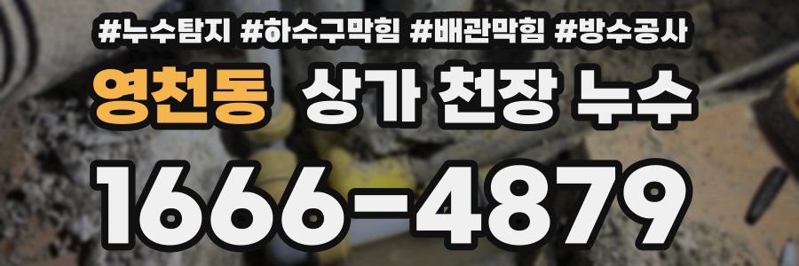 영천동 상가 천장 누수