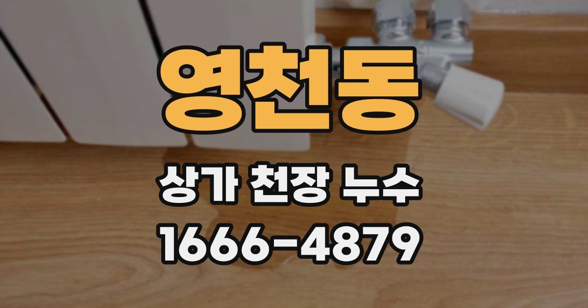 영천동 상가 천장 누수