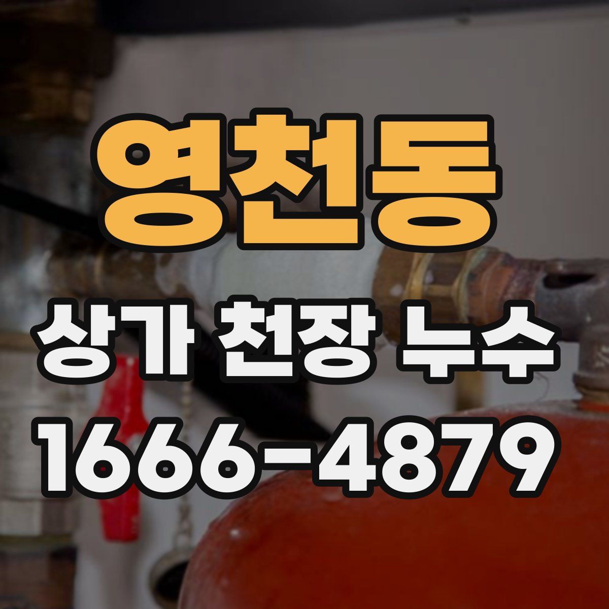 영천동 상가 천장 누수
