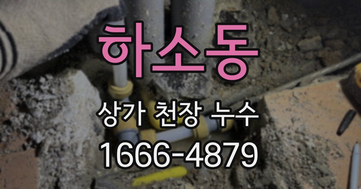 하소동 상가 천장 누수