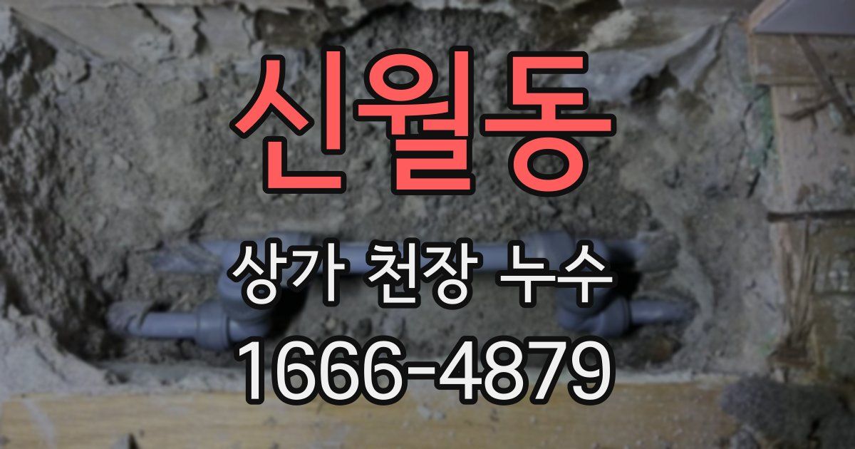 신월동 상가 천장 누수