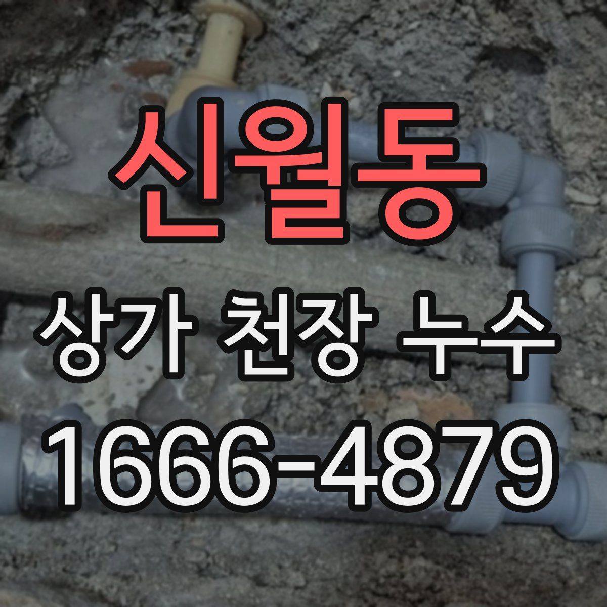 신월동 상가 천장 누수