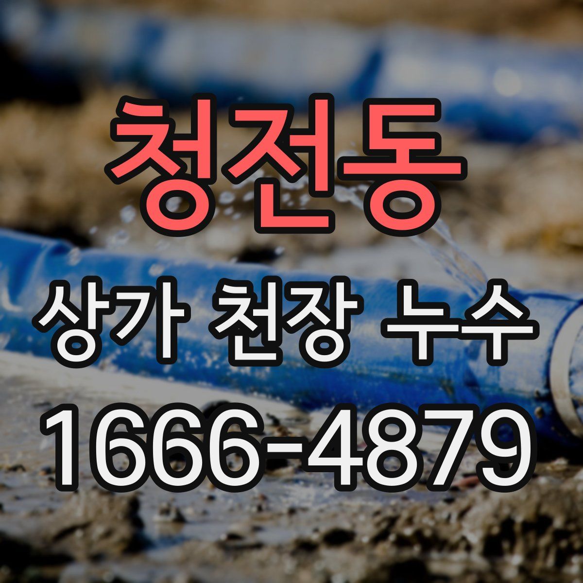 청전동 상가 천장 누수
