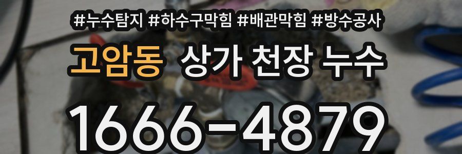 고암동 상가 천장 누수