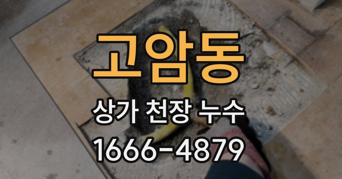 고암동 상가 천장 누수