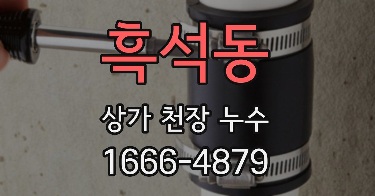 흑석동 상가 천장 누수