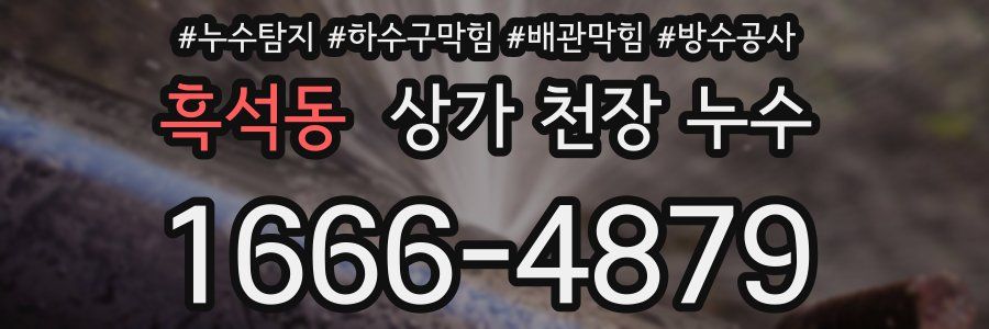 흑석동 상가 천장 누수