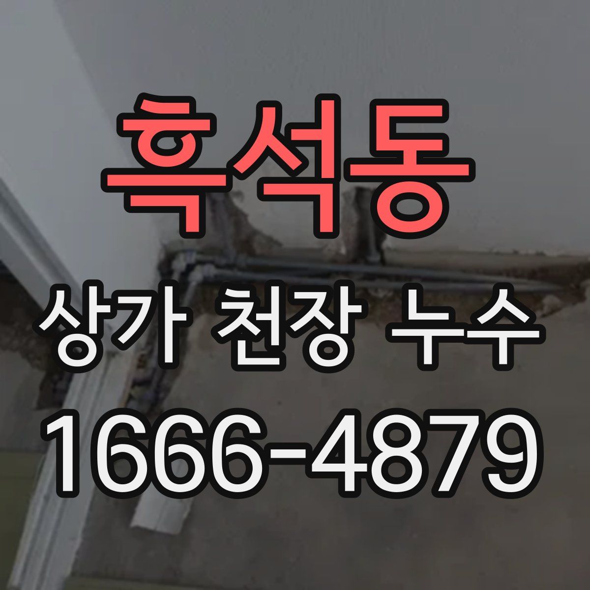 흑석동 상가 천장 누수