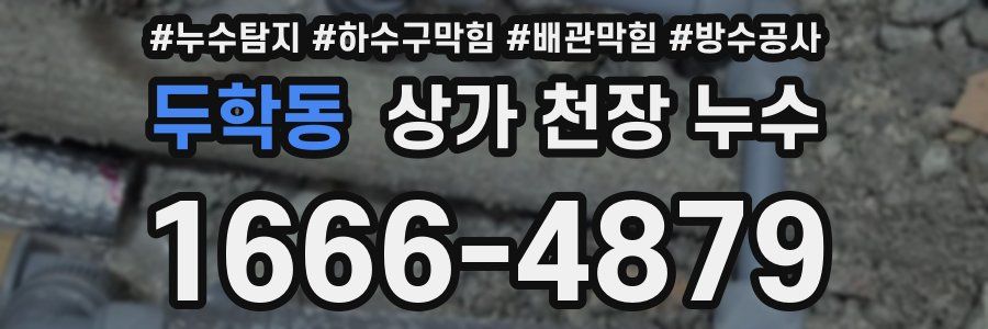 두학동 상가 천장 누수