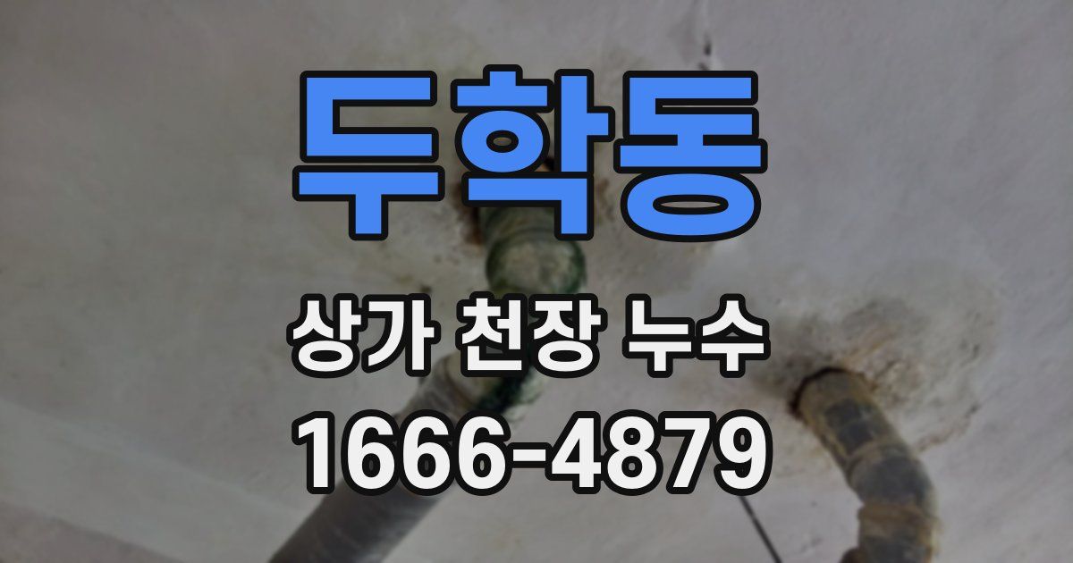 두학동 상가 천장 누수