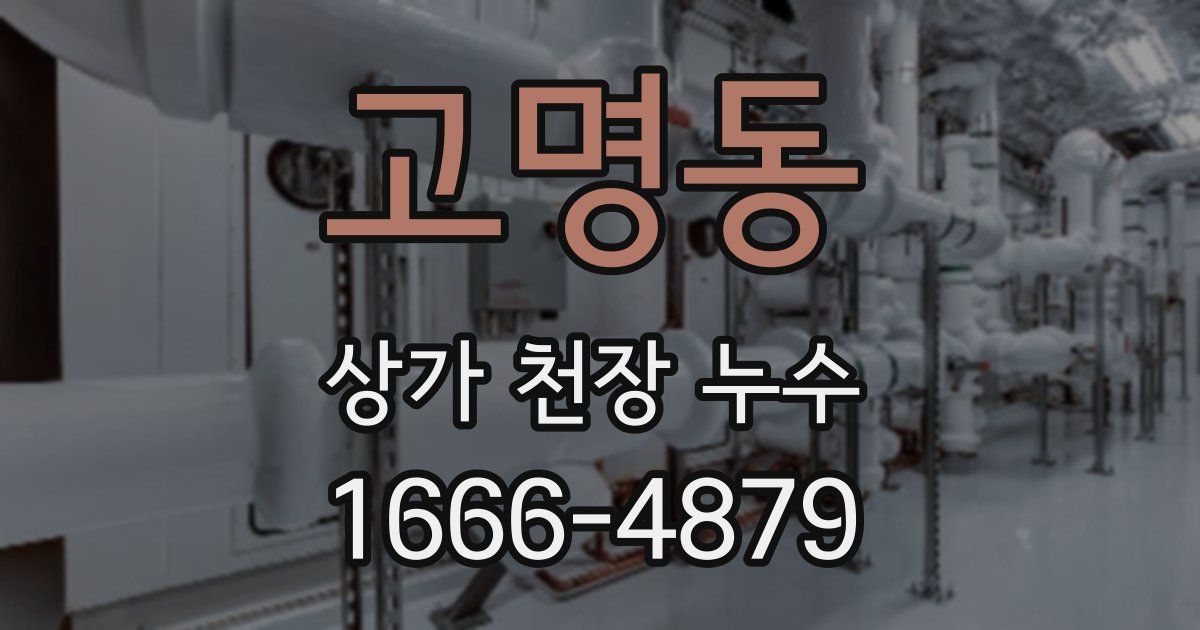 고명동 상가 천장 누수