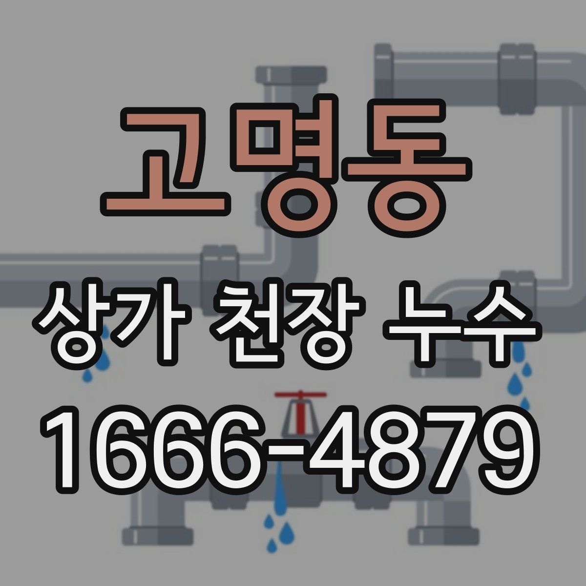 고명동 상가 천장 누수
