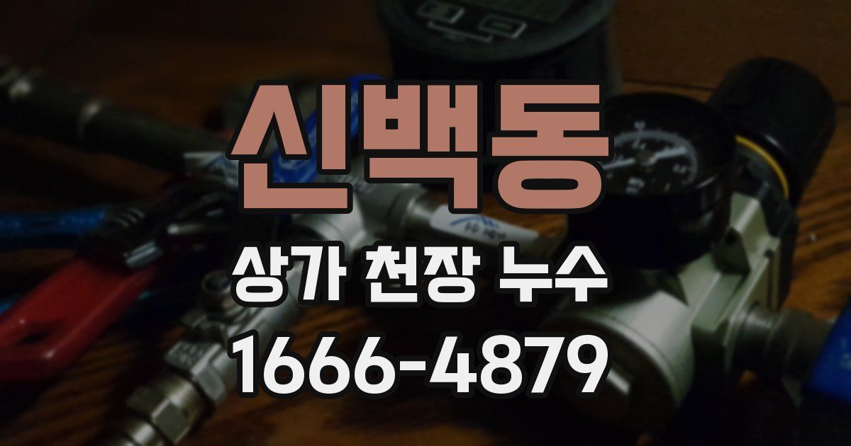 신백동 상가 천장 누수