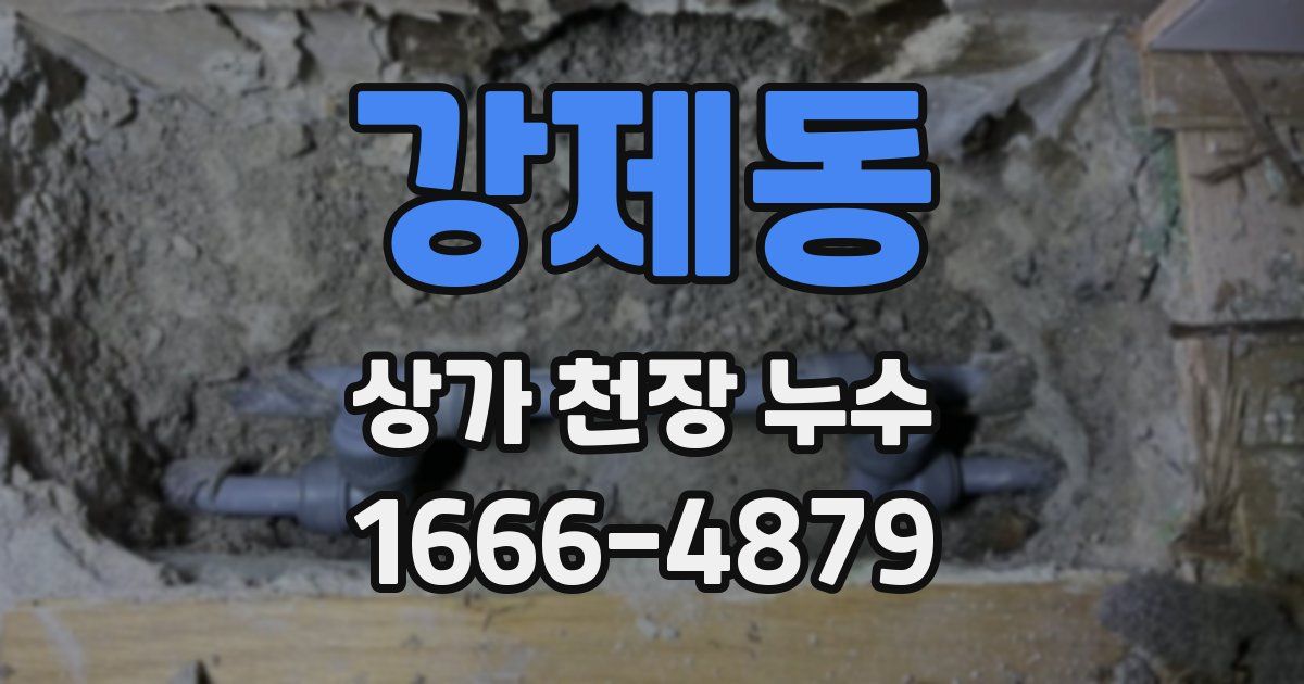 강제동 상가 천장 누수