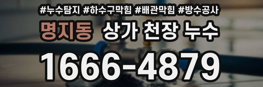 명지동 상가 천장 누수