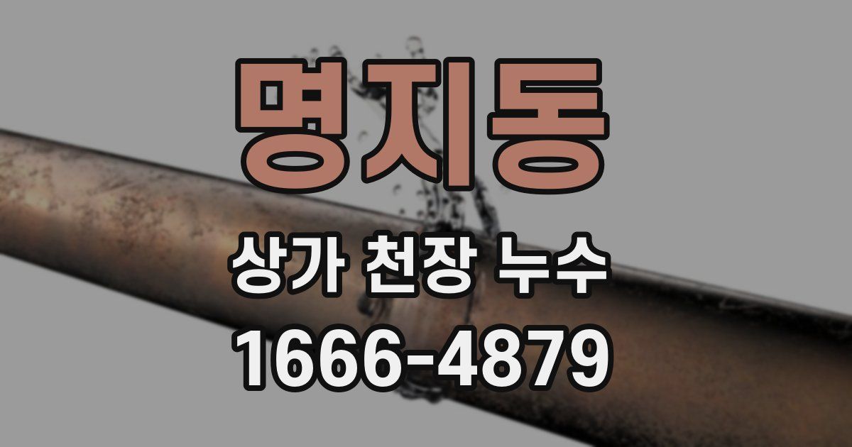 명지동 상가 천장 누수