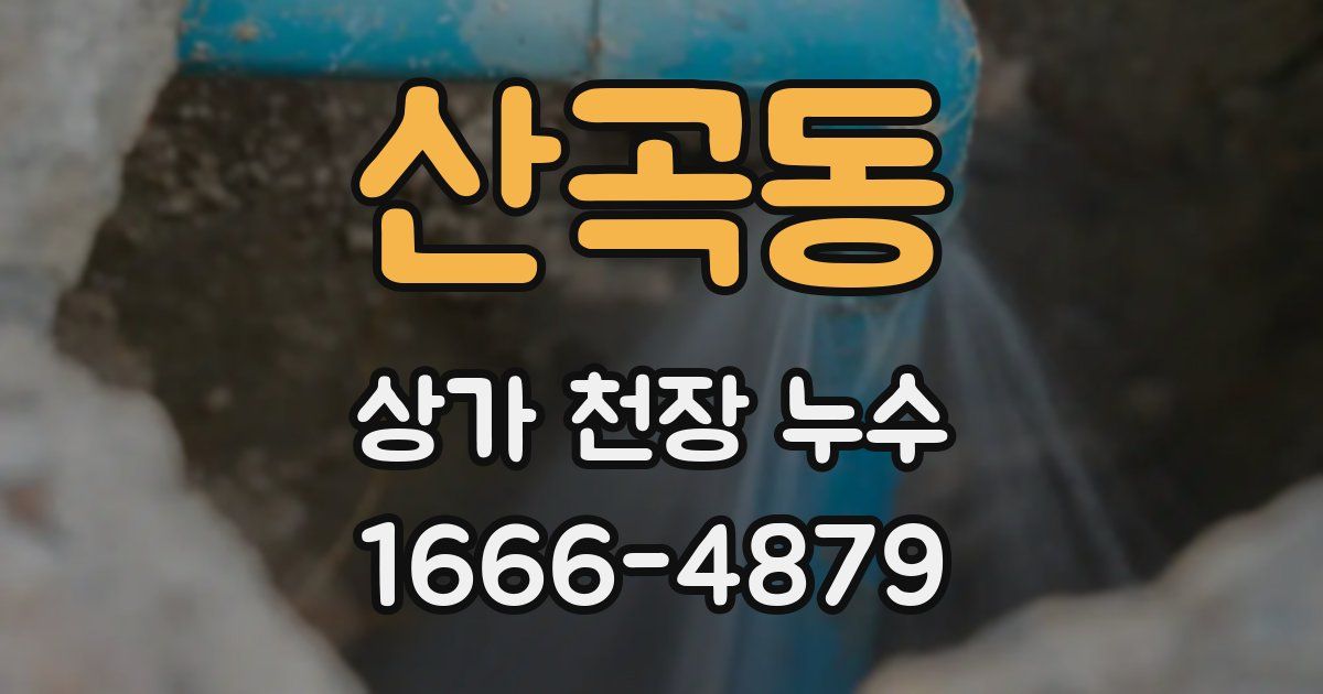 산곡동 상가 천장 누수