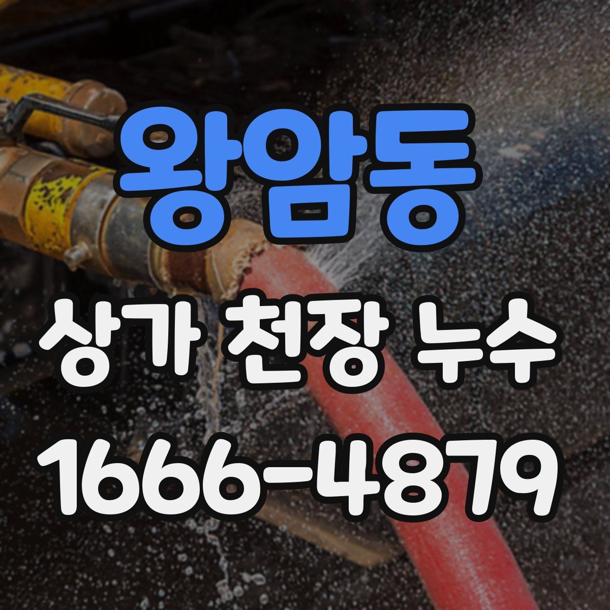 왕암동 상가 천장 누수