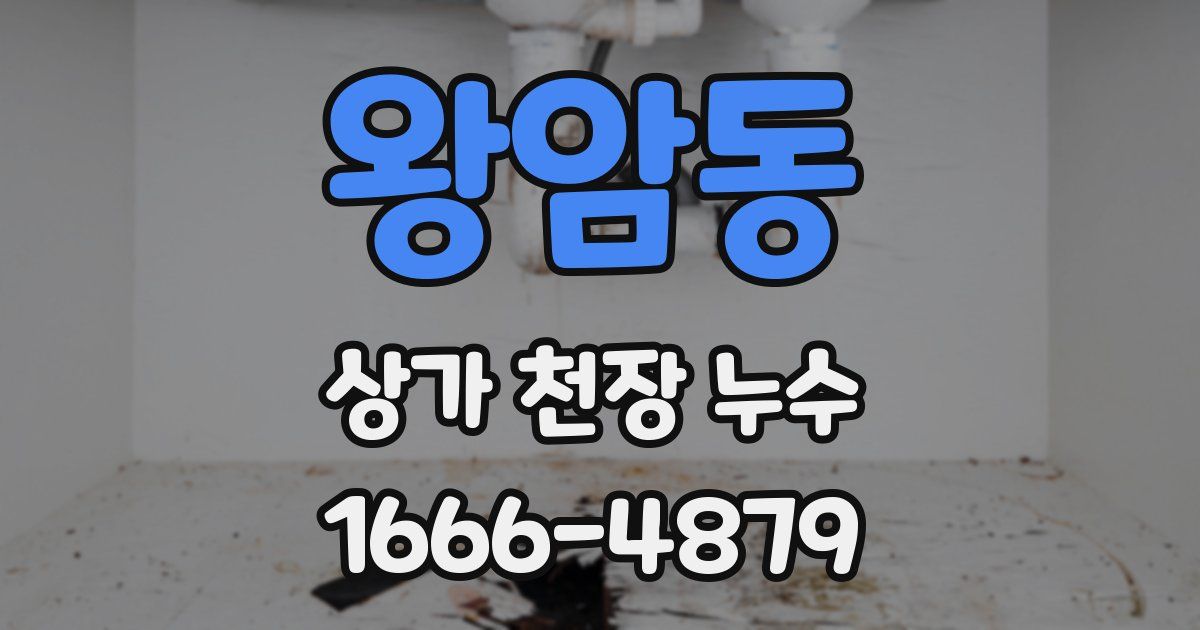 왕암동 상가 천장 누수