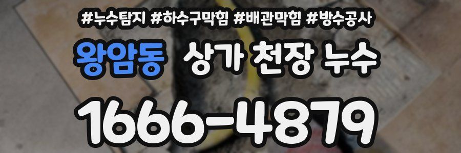 왕암동 상가 천장 누수