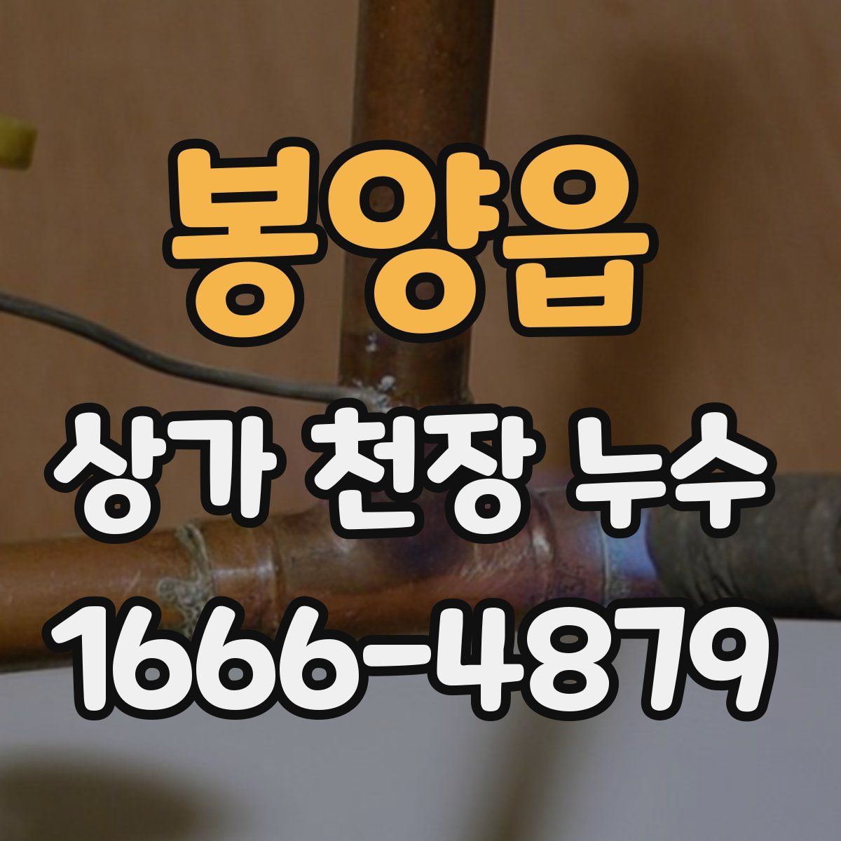 봉양읍 상가 천장 누수
