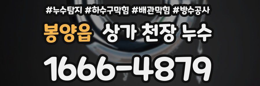 봉양읍 상가 천장 누수
