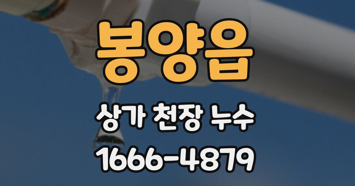 봉양읍 상가 천장 누수