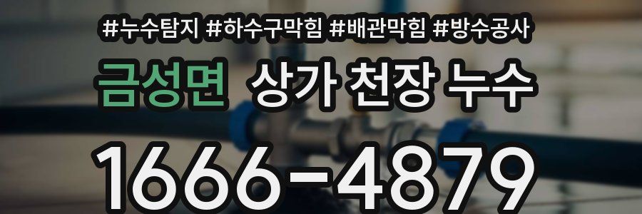 금성면 상가 천장 누수