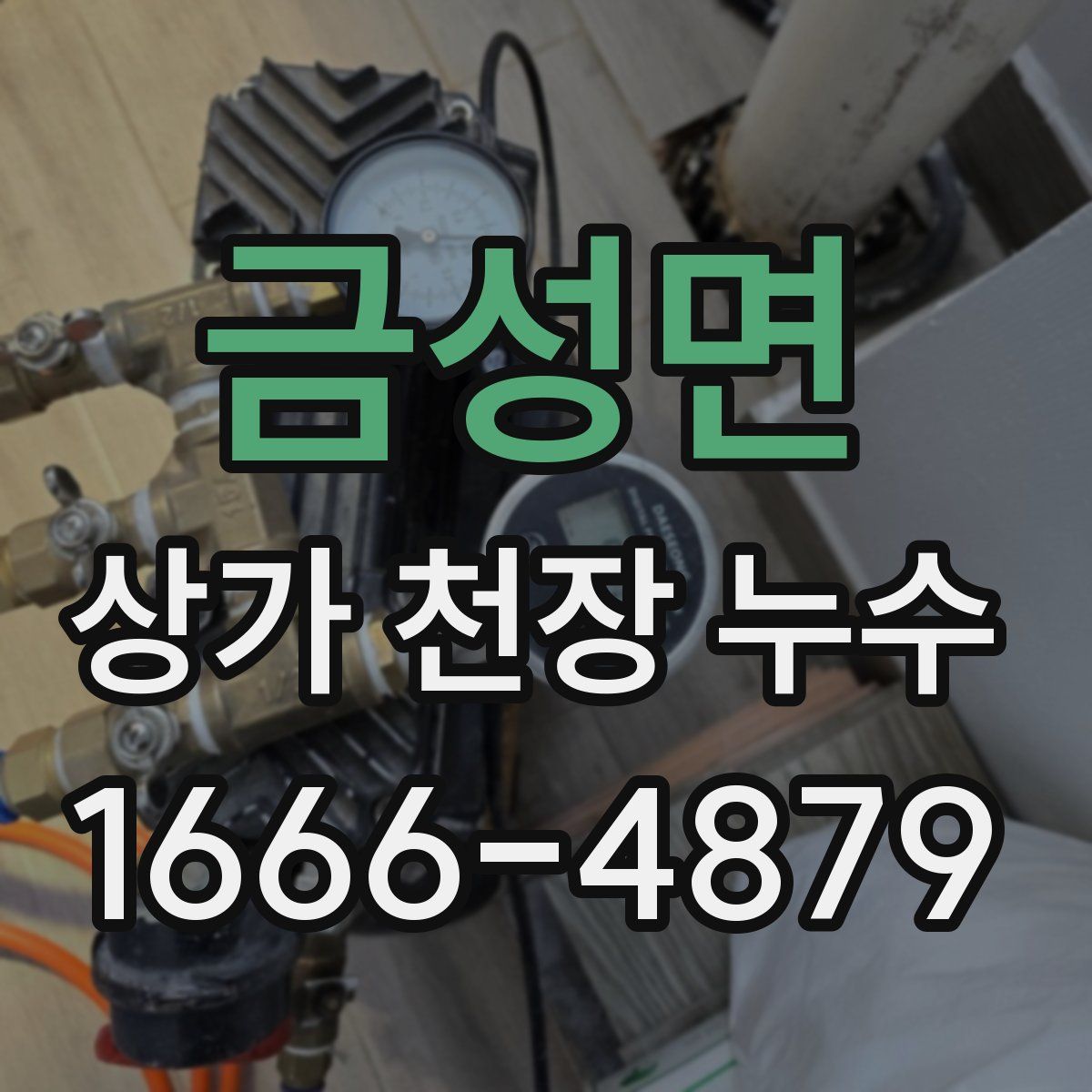 금성면 상가 천장 누수