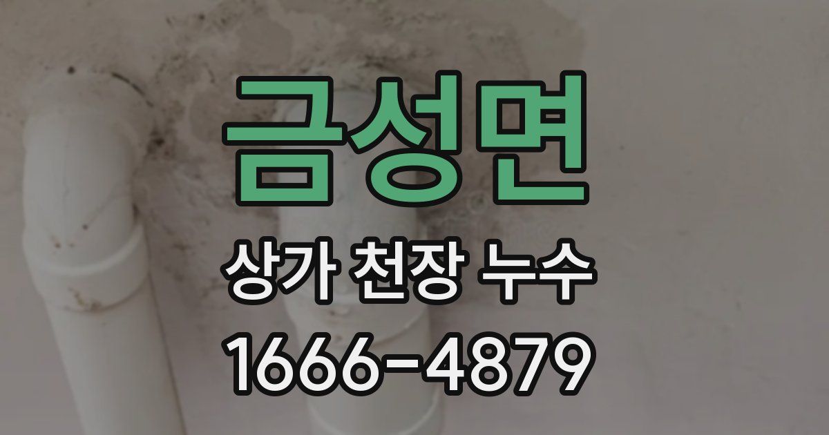 금성면 상가 천장 누수