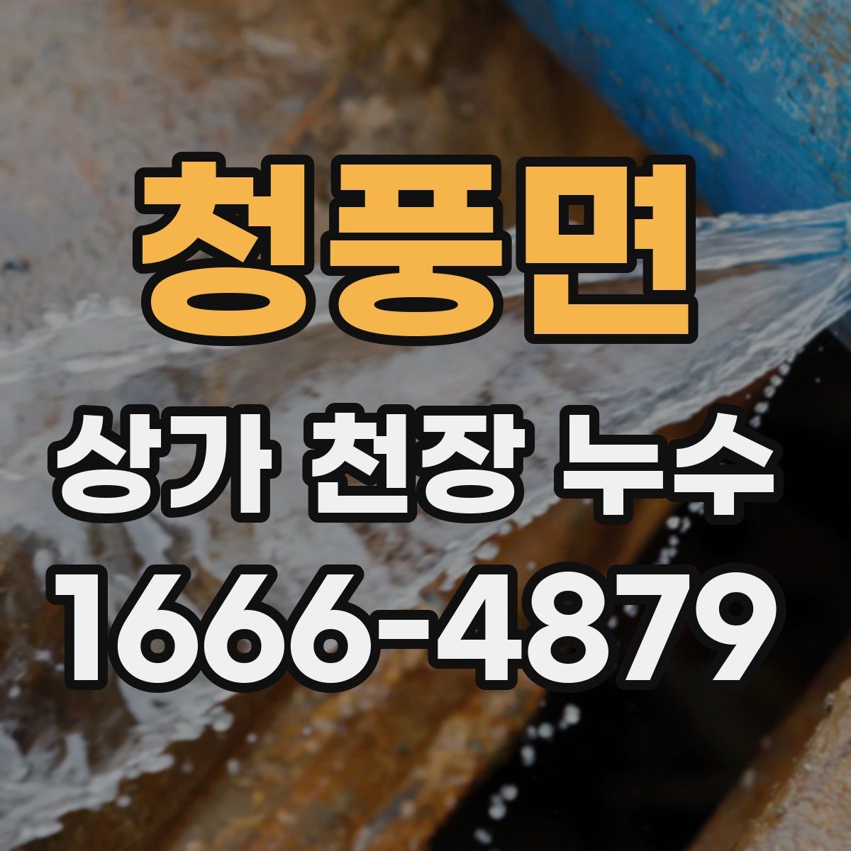 청풍면 상가 천장 누수