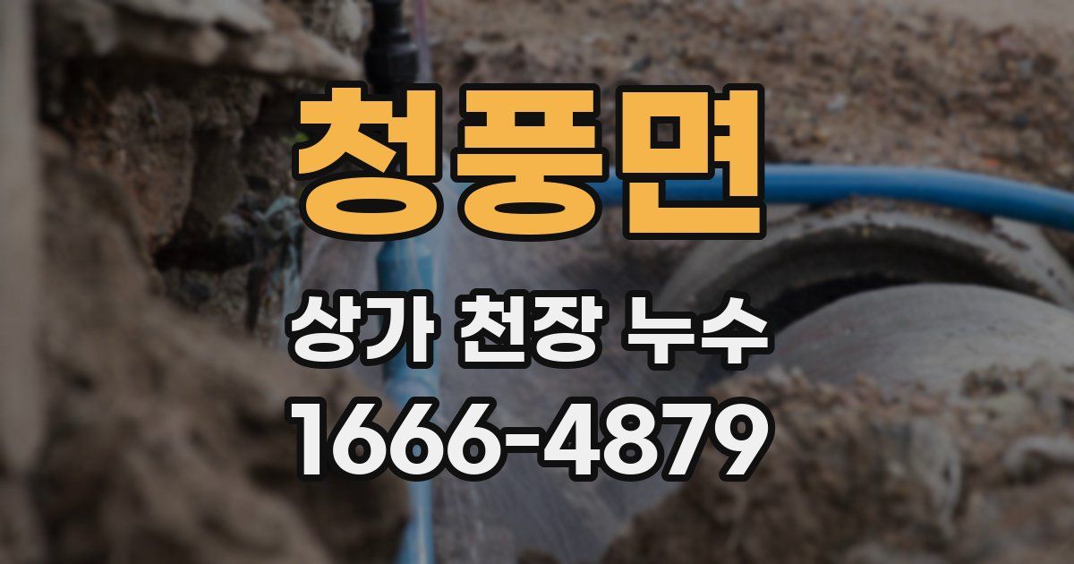 청풍면 상가 천장 누수
