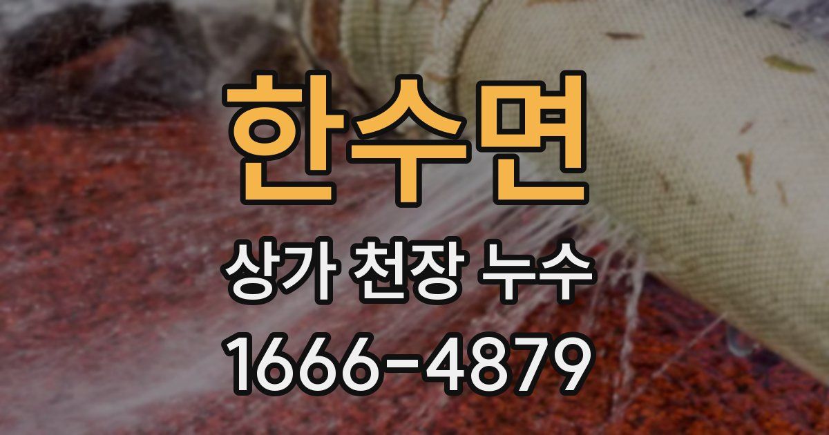 한수면 상가 천장 누수