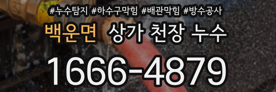 백운면 상가 천장 누수
