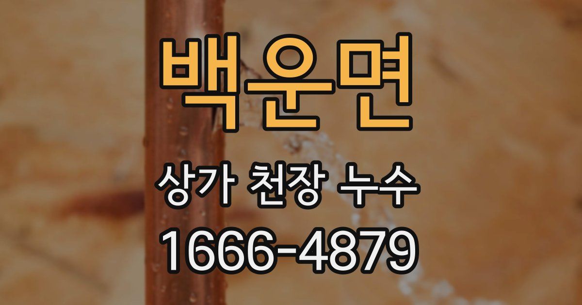 백운면 상가 천장 누수