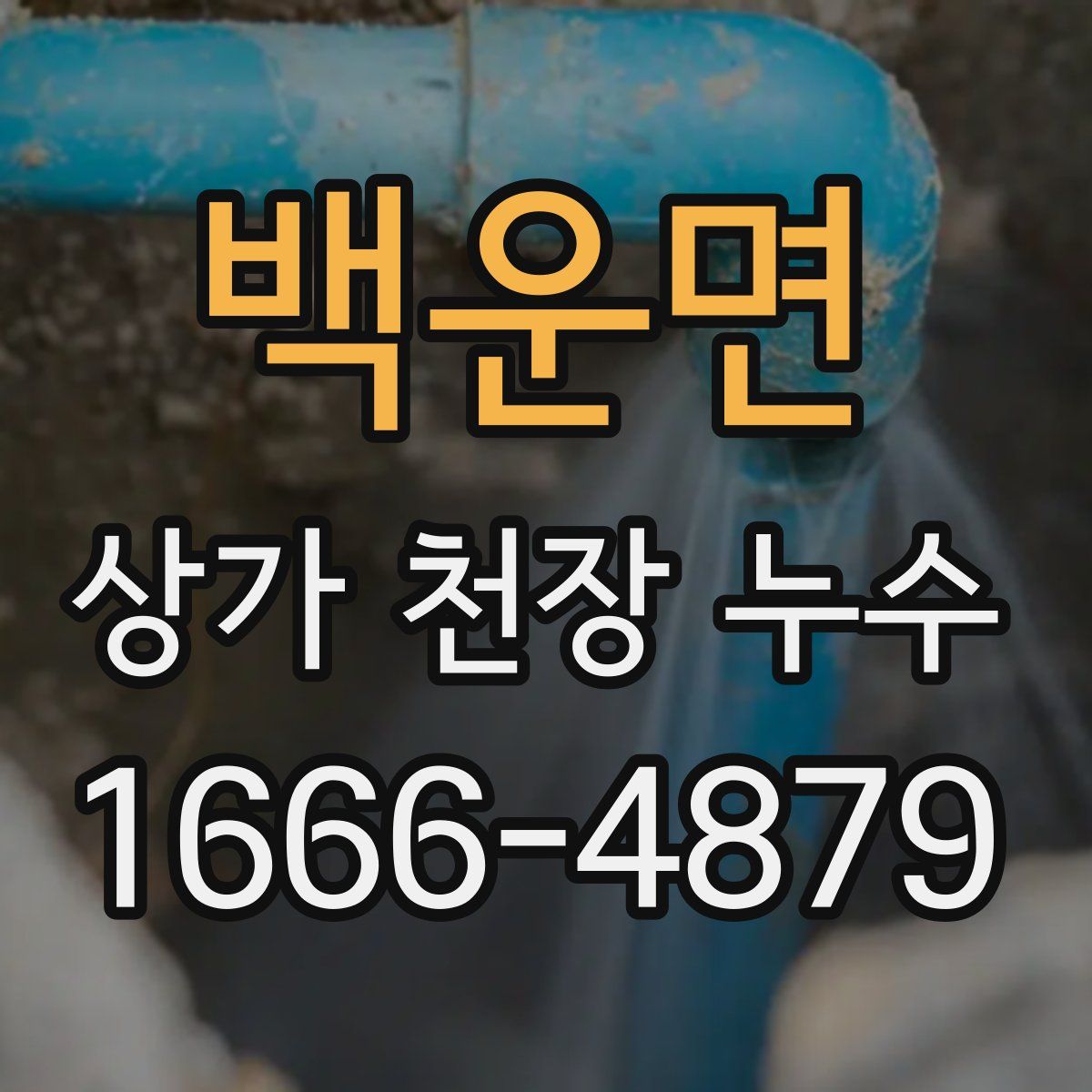 백운면 상가 천장 누수