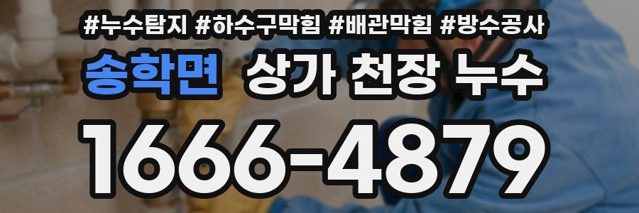 송학면 상가 천장 누수