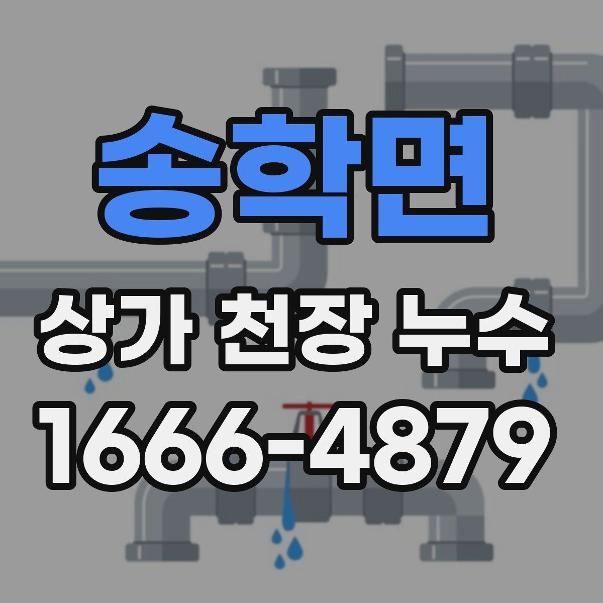 송학면 상가 천장 누수