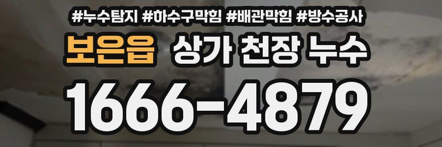 보은읍 상가 천장 누수