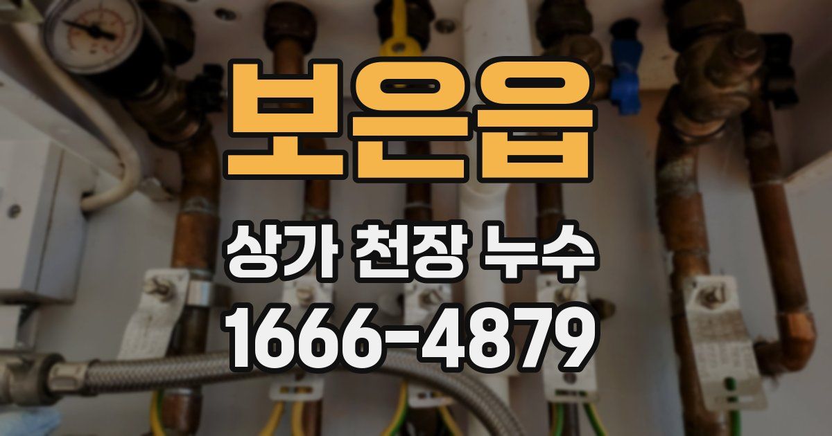 보은읍 상가 천장 누수