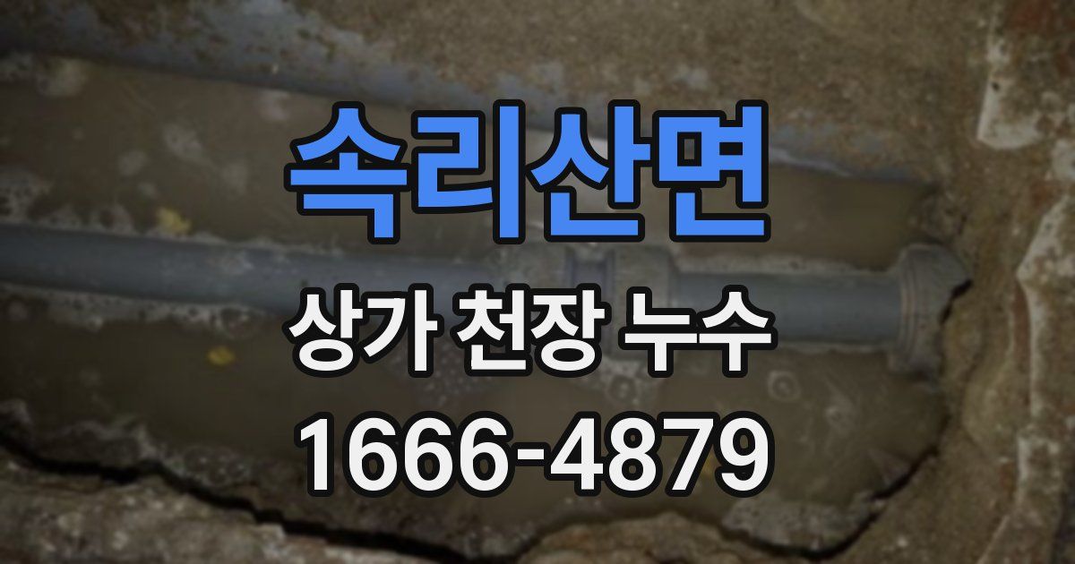 속리산면 상가 천장 누수