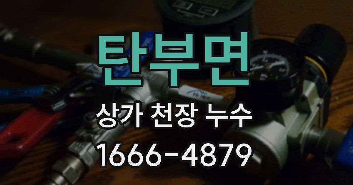 탄부면 상가 천장 누수